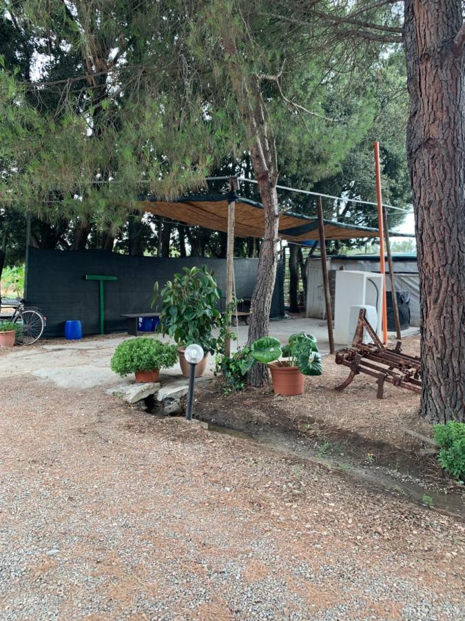 Agrib&B Il Pomo D'Oro Assemini Bagian luar foto